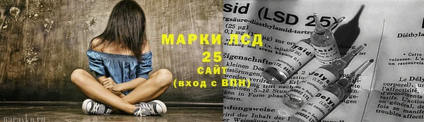 мяу мяу мука Магас